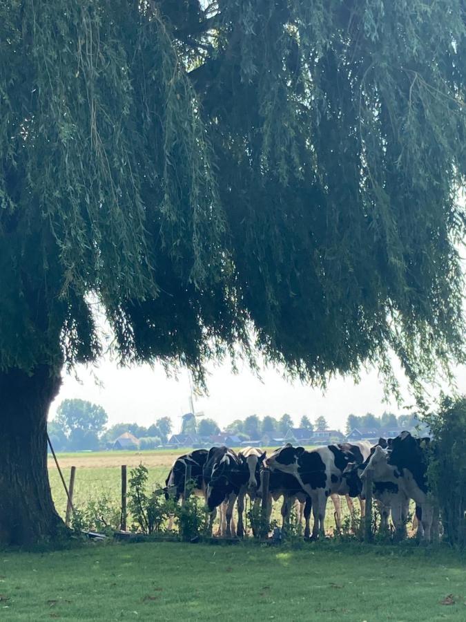 Vakantiehuis Het Uilennest Wijdenes Dış mekan fotoğraf